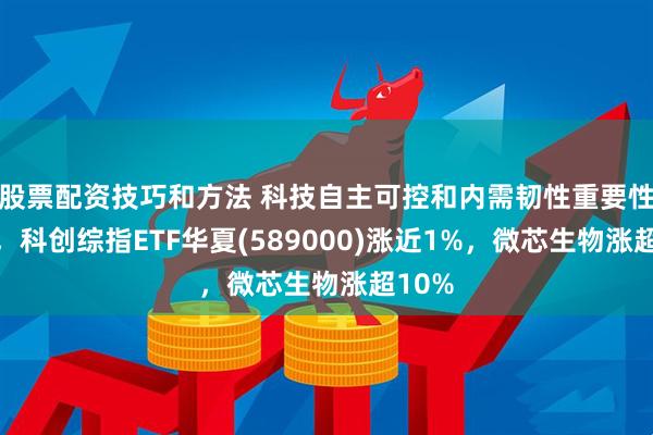 股票配资技巧和方法 科技自主可控和内需韧性重要性提升，科创综指ETF华夏(589000)涨近1%，微芯生物涨超10%