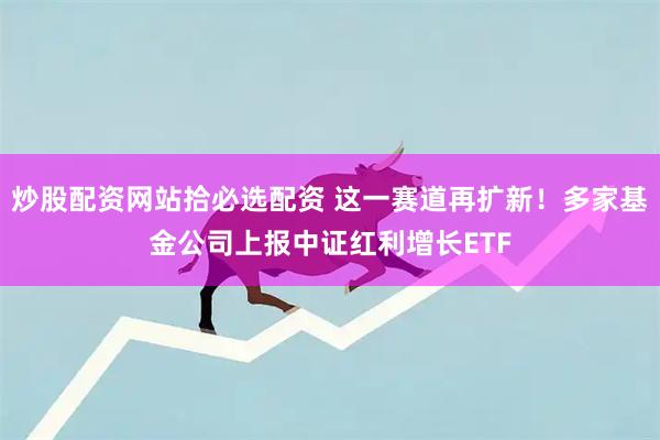 炒股配资网站拾必选配资 这一赛道再扩新！多家基金公司上报中证红利增长ETF